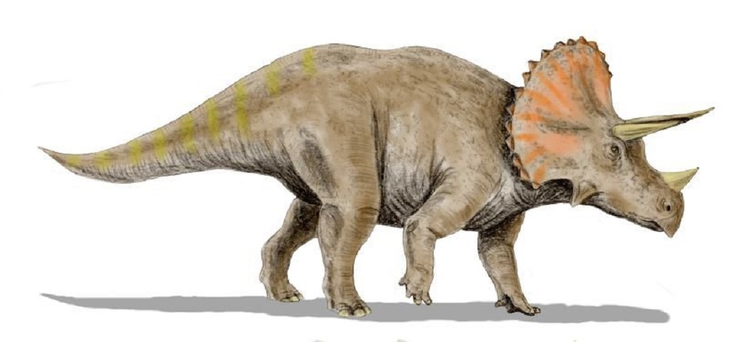 Herbivorous Dinosaurs: names, types, and characteristics